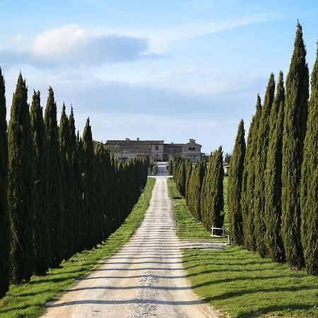 Cozy Home In Countryside Asciano Siena -Renovated! Exterior photo